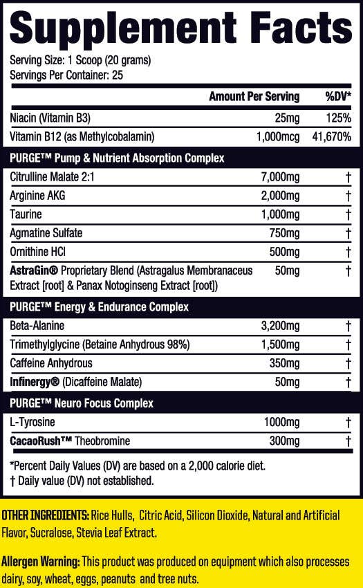 Purge PreV2 Preworkout, NEW Formula, Performance - Preworkout 25 Servings