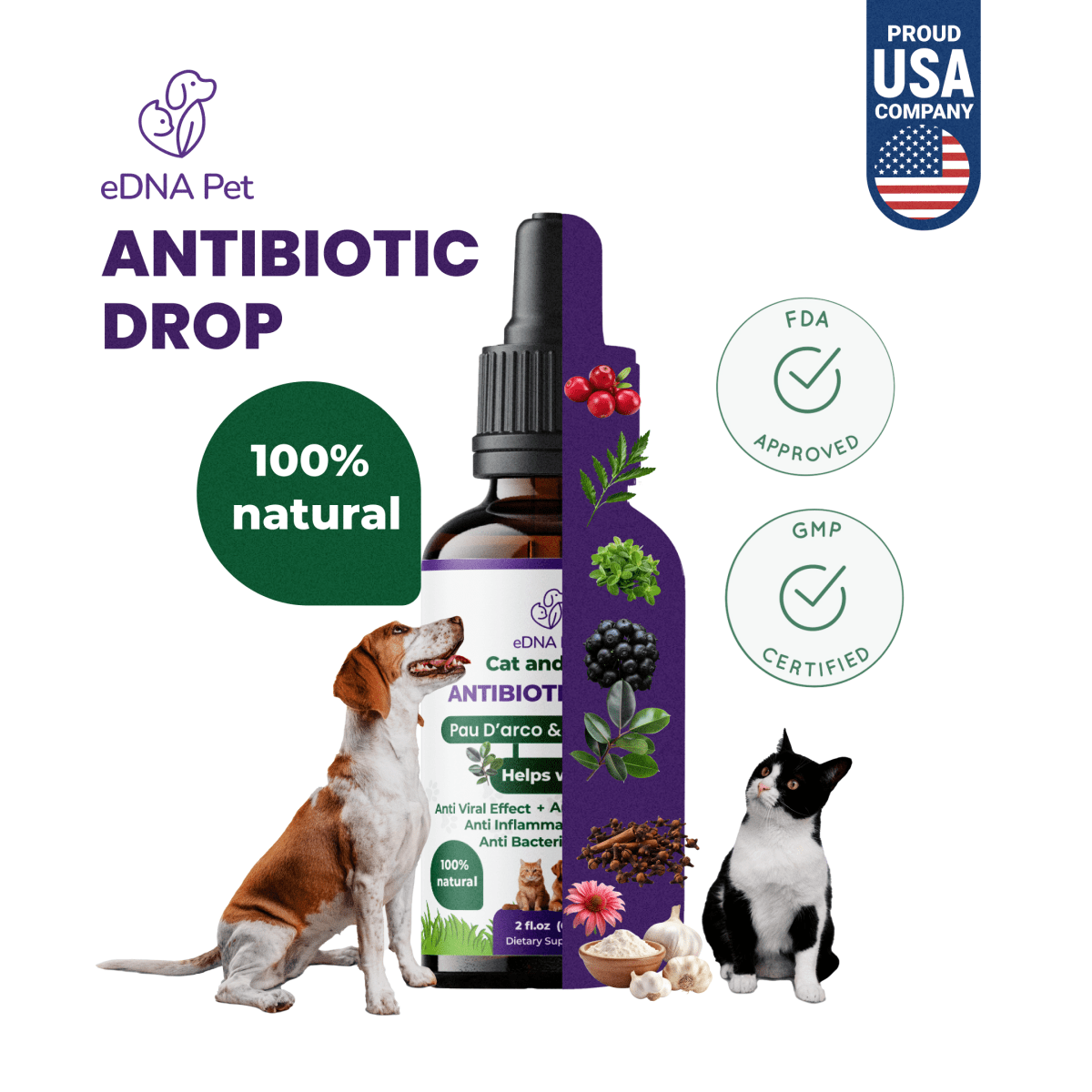 CAT AND DOG ANTIBIOTIC DROPS 60ML