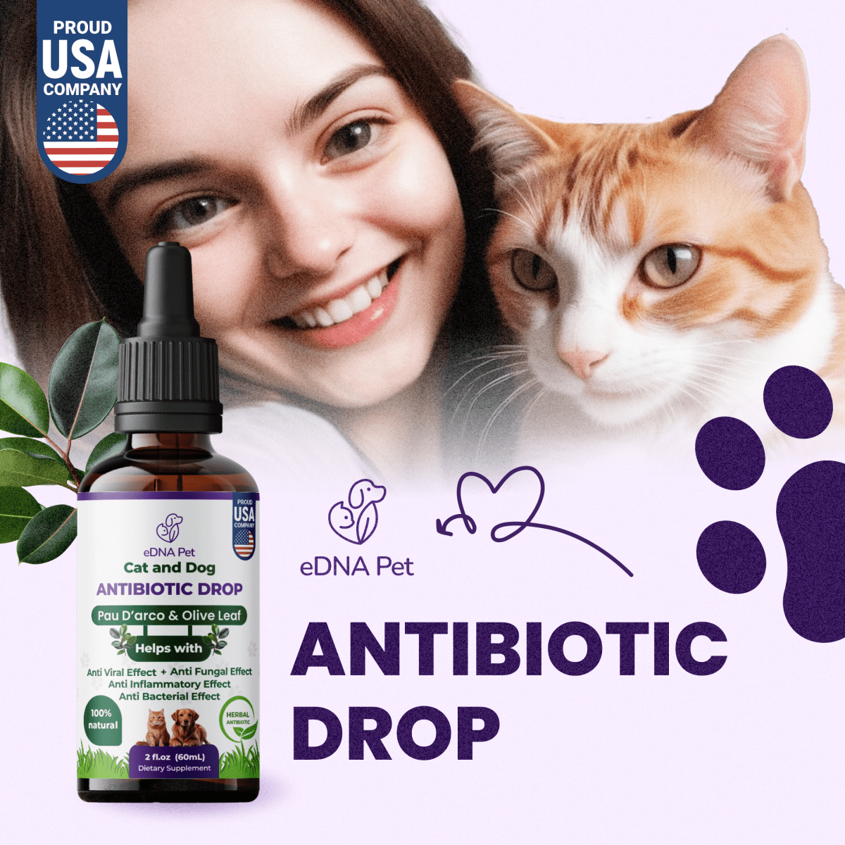 CAT AND DOG ANTIBIOTIC DROPS 60ML