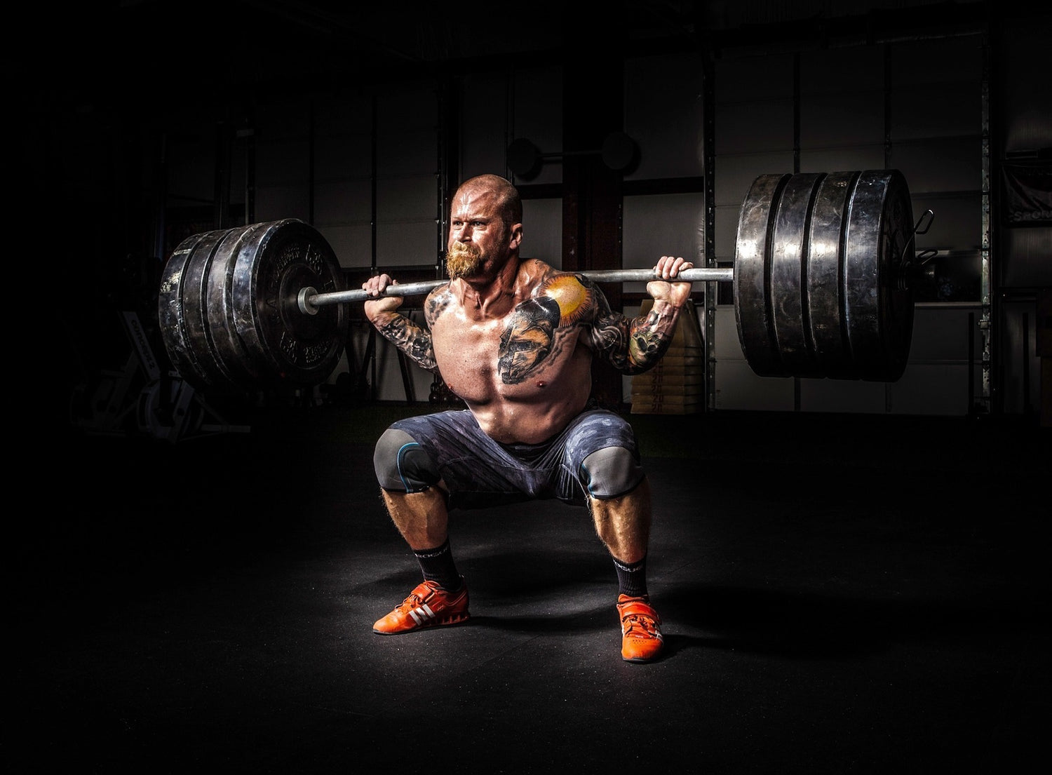Gain Muscles