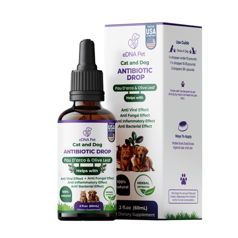 CAT AND DOG ANTIBIOTIC DROPS 60ML