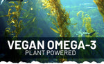 Prowise Vegan Omega-3 DHA from Algae Oil | 60 Softgels with