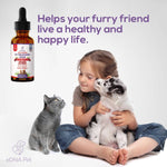 CAT AND DOG UTI TREATMENT DROP 60ML