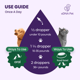 CAT AND DOG ANTIBIOTIC DROPS 60ML