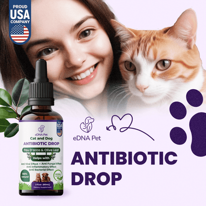 CAT AND DOG ANTIBIOTIC DROPS 60ML