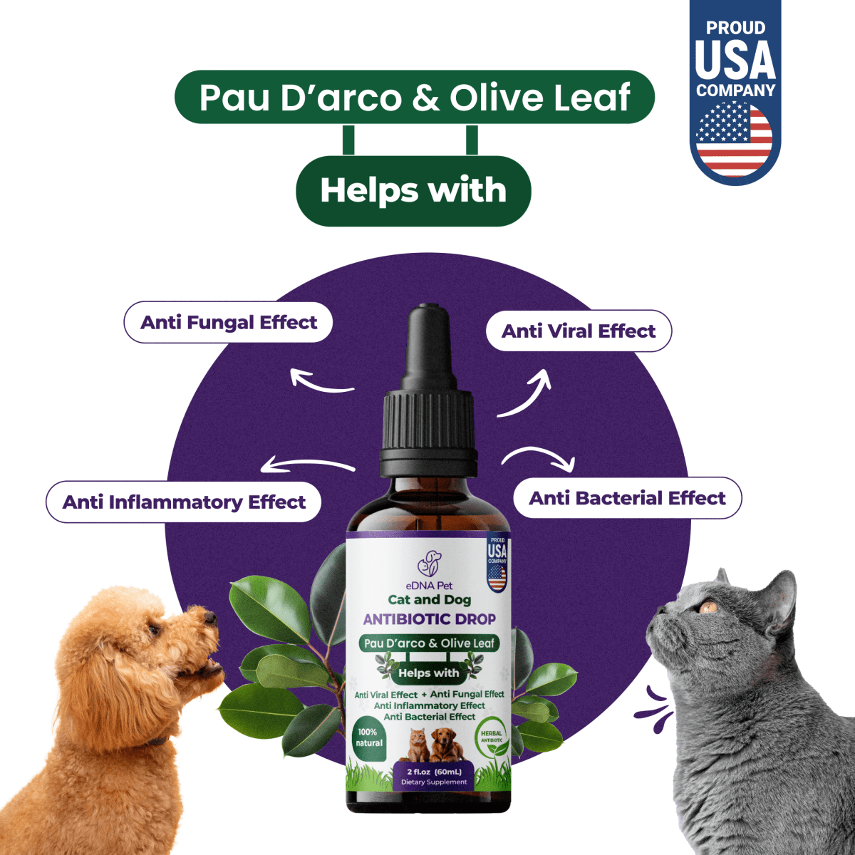 CAT AND DOG ANTIBIOTIC DROPS 60ML