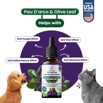 CAT AND DOG ANTIBIOTIC DROPS 60ML