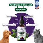 CAT AND DOG ANTIBIOTIC DROPS 60ML